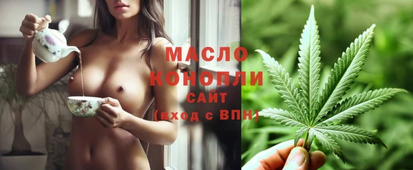 спайс Инсар