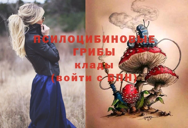 метамфетамин Инта