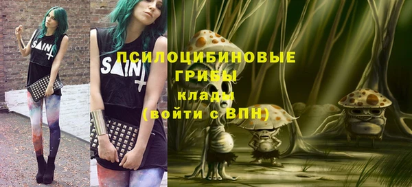 спайс Инсар